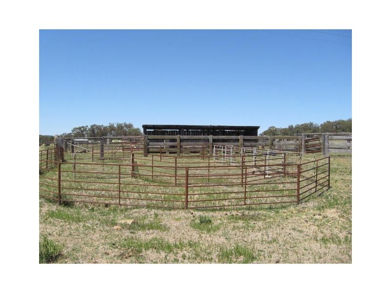 24 Caslick Lane, Stanthorpe, Stanthorpe QLD 4380
