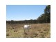 24 Caslick Lane, Stanthorpe, Stanthorpe QLD 4380