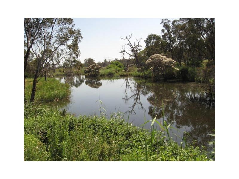 117 Stabiles Road, Severnlea, Stanthorpe QLD 4380