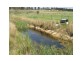 117 Stabiles Road, Severnlea, Stanthorpe QLD 4380
