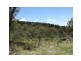 Lot 1477 Brown Gully Road, Sugarloaf, Stanthorpe QLD 4380