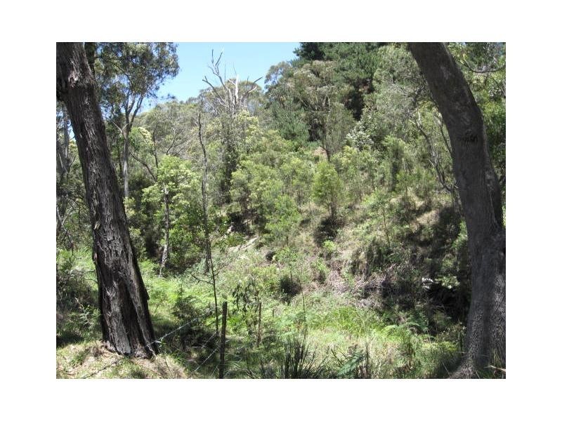 Lot 1477 Brown Gully Road, Sugarloaf, Stanthorpe QLD 4380