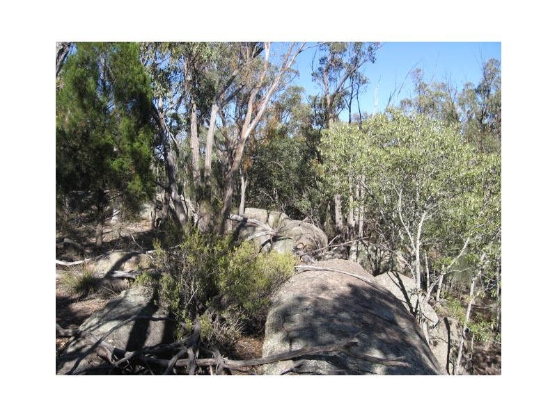 1682 Texas Road, Stanthorpe, Stanthorpe QLD 4380