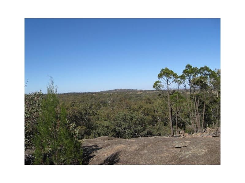 1682 Texas Road, Stanthorpe, Stanthorpe QLD 4380