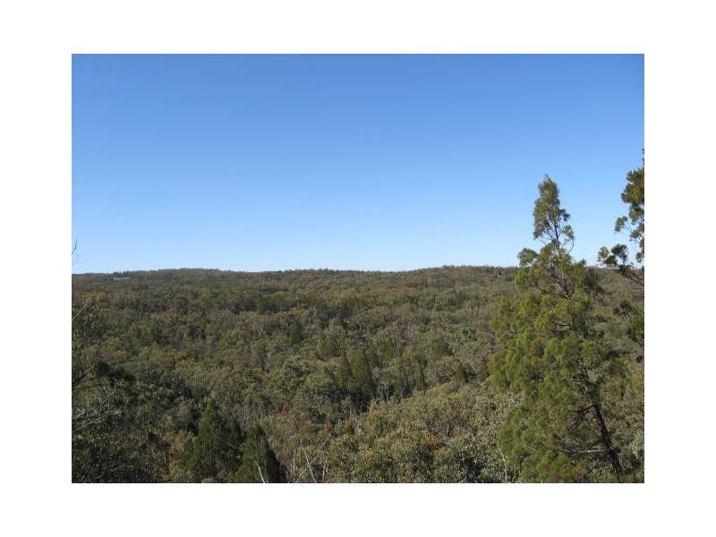 1682 Texas Road, Stanthorpe, Stanthorpe QLD 4380