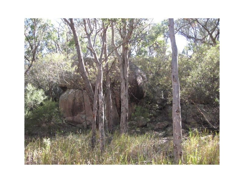 1682 Texas Road, Stanthorpe, Stanthorpe QLD 4380