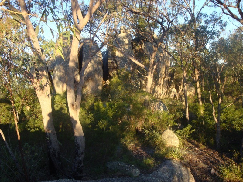 79 Lees Mountain Road, Stanthorpe, Stanthorpe QLD 4380