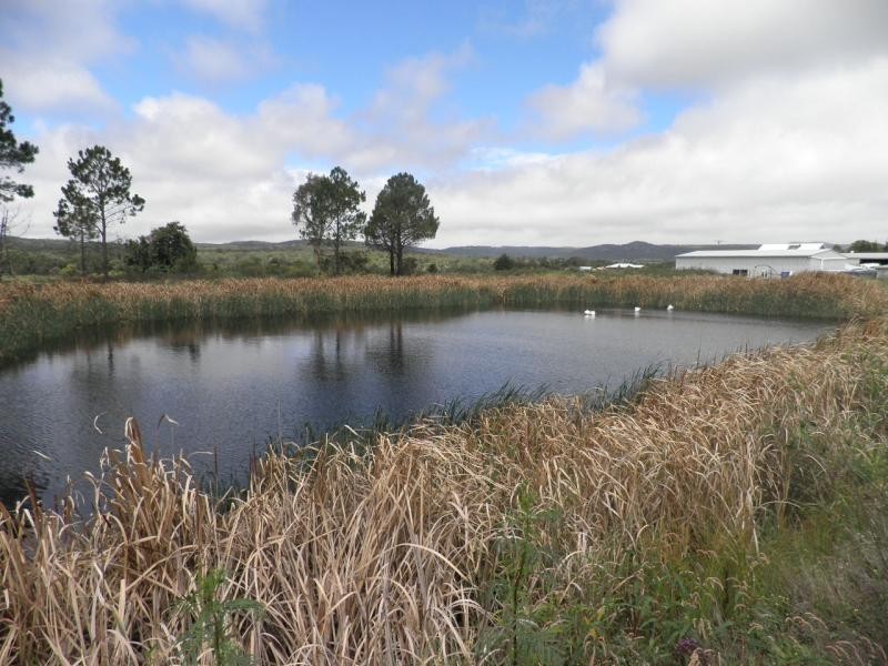 128 Donges Road, Severnlea, Stanthorpe QLD 4380