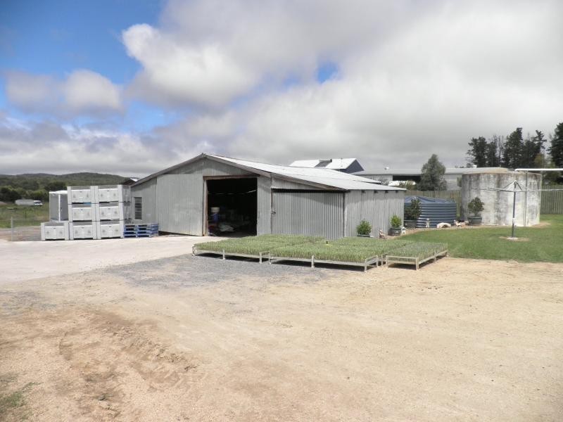 128 Donges Road, Severnlea, Stanthorpe QLD 4380
