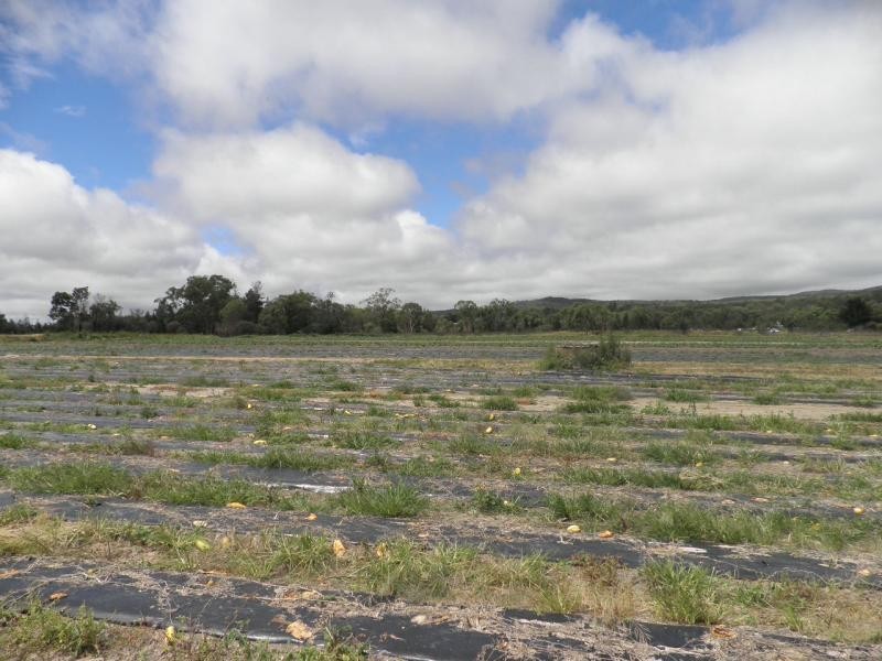 128 Donges Road, Severnlea, Stanthorpe QLD 4380