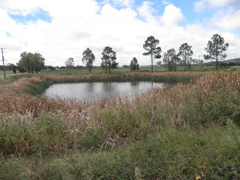 128 Donges Road, Severnlea, Stanthorpe QLD 4380