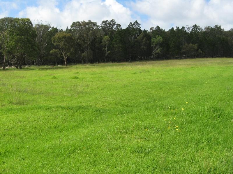 335 Church Road, The Summit, Stanthorpe QLD 4380