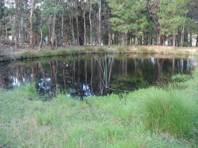 34 Cosmo Lane, Cottonvale, Stanthorpe QLD 4380