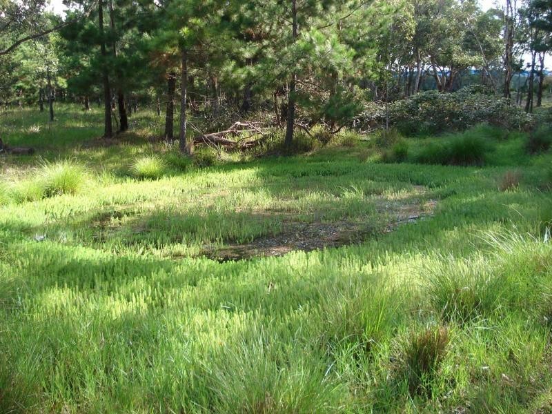 34 Cosmo Lane, Cottonvale, Stanthorpe QLD 4380