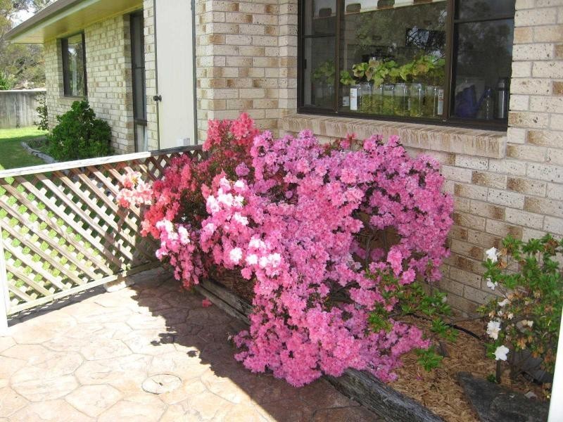 121 Jones Road, Severnlea, Stanthorpe QLD 4380