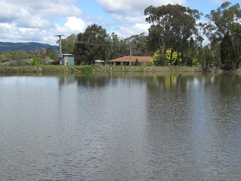 121 Jones Road, Severnlea, Stanthorpe QLD 4380