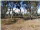 204 Gliibard Road, Stanhorpe, Stanthorpe QLD 4380