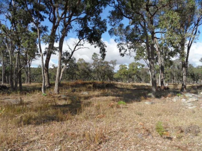 204 Gliibard Road, Stanhorpe, Stanthorpe QLD 4380