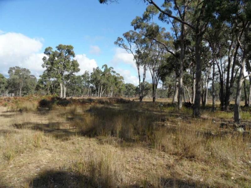204 Gliibard Road, Stanhorpe, Stanthorpe QLD 4380