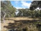 204 Gliibard Road, Stanhorpe, Stanthorpe QLD 4380