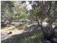 204 Gliibard Road, Stanhorpe, Stanthorpe QLD 4380