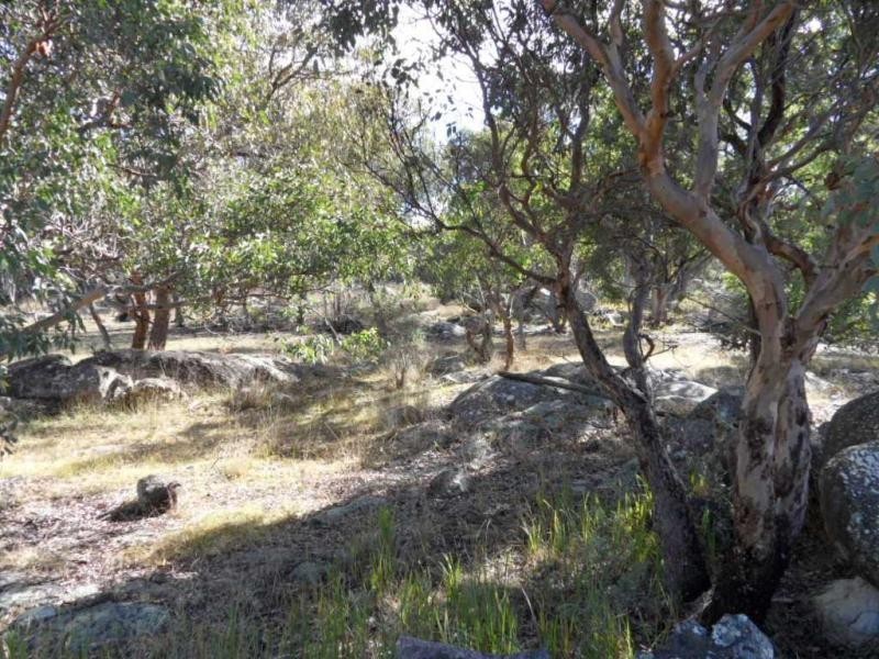 204 Gliibard Road, Stanhorpe, Stanthorpe QLD 4380