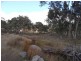 204 Gliibard Road, Stanhorpe, Stanthorpe QLD 4380