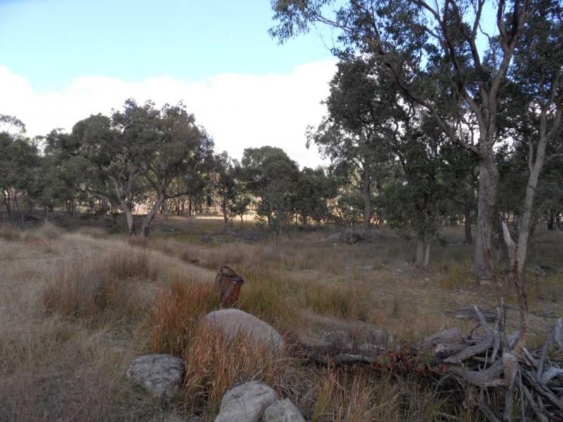 204 Gliibard Road, Stanhorpe, Stanthorpe QLD 4380