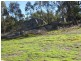 Lot 16 Caves Road, Stanthorpe, Stanthorpe QLD 4380