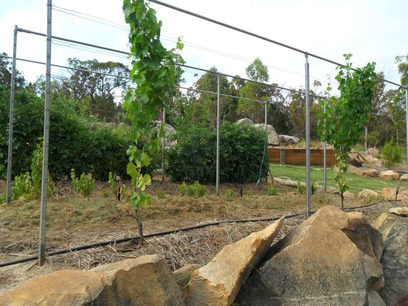 387 Amosfield Road, Stanthorpe QLD 4380