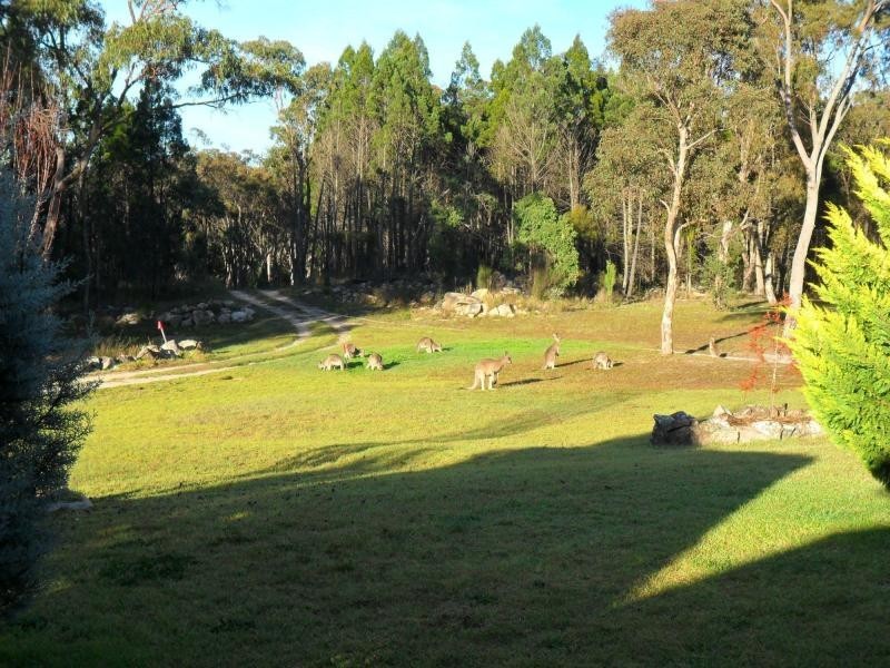 387 Amosfield Road, Stanthorpe QLD 4380