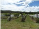 55 Horans Gorge Road, Glen Aplin, Stanthorpe QLD 4380