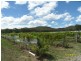 55 Horans Gorge Road, Glen Aplin, Stanthorpe QLD 4380