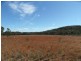 55 Horans Gorge Road, Glen Aplin, Stanthorpe QLD 4380