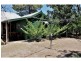 56 Greenup Street, Stanthorpe, Stanthorpe QLD 4380