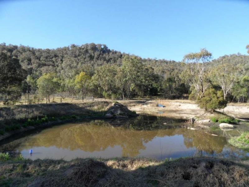 427 Limberlost Road, Glen Aplin, Stanthorpe QLD 4380