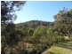 427 Limberlost Road, Glen Aplin, Stanthorpe QLD 4380