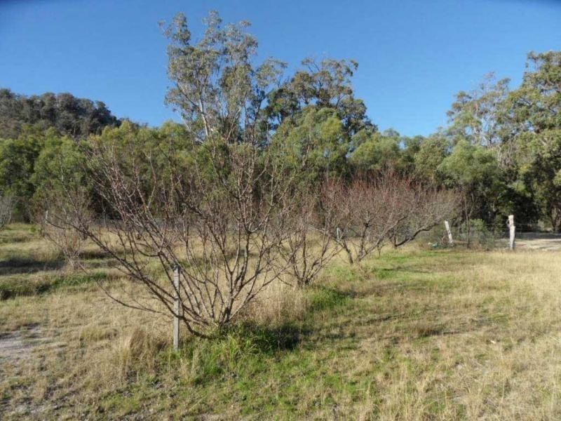 427 Limberlost Road, Glen Aplin, Stanthorpe QLD 4380