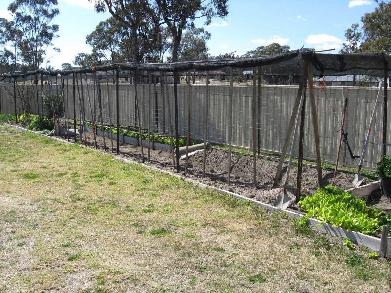 7 McKillop Lane, Stanthorpe, Stanthorpe QLD 4380