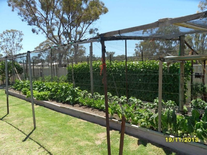 7 McKillop Lane, Stanthorpe, Stanthorpe QLD 4380