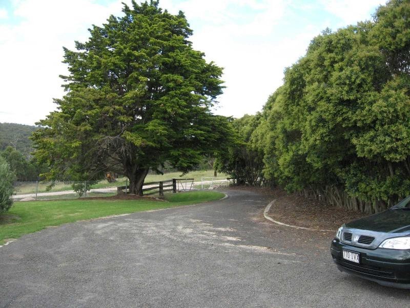 518 Back Creek Road, Stanthorpe QLD 4380
