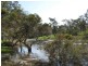 21 Miners Lane, Glen Aplin, Stanthorpe QLD 4380
