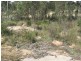 Lot 52 Cummerford Road, Glen Aplin, Stanthorpe QLD 4380
