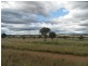 Stanthorpe QLD 4380
