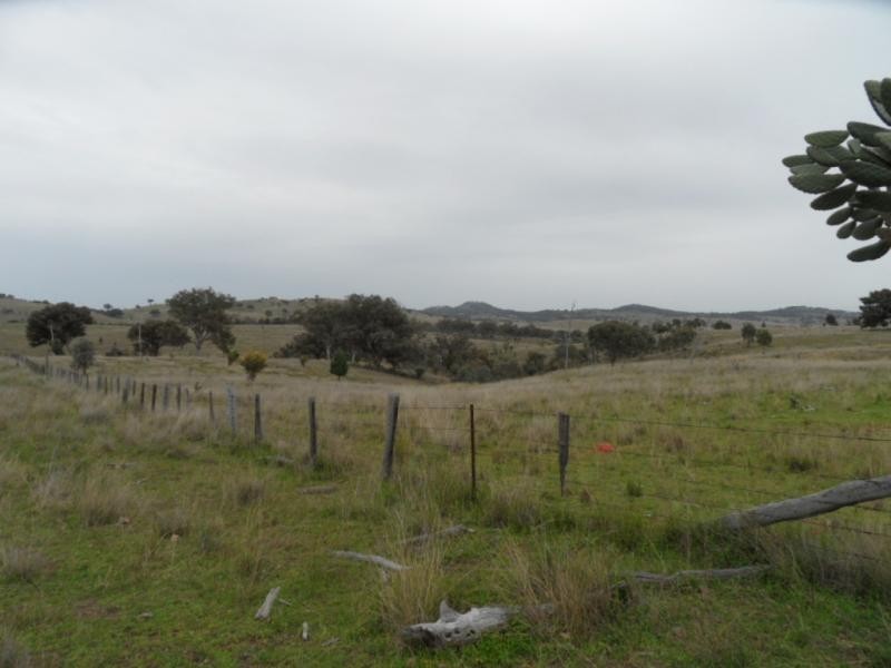 Stanthorpe QLD 4380