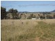 Stanthorpe QLD 4380