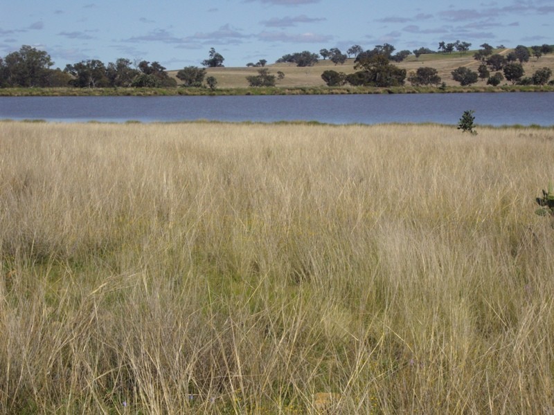 Stanthorpe QLD 4380