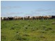 Stanthorpe QLD 4380