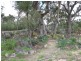 45 Yellowbox Road, Severnlea, Stanthorpe QLD 4380