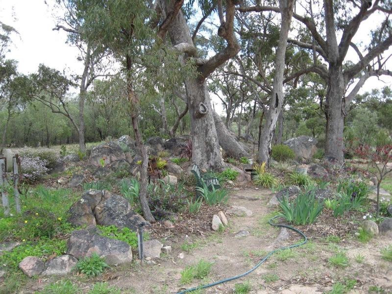45 Yellowbox Road, Severnlea, Stanthorpe QLD 4380